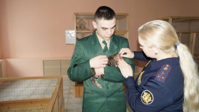 КОНТАКТНЫЙ ЗООПАРК В КАНСКОЙ ВОСПИТАТЕЛЬНОЙ КОЛОНИИ НУЖДАЕТСЯ В ПОМОЩИ!