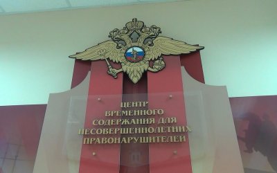 Криминальные подростки – подопечные Юридического института СФУ