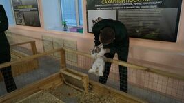 DSC00043_38da1.JPG