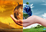 картинка.org_97524_25d74_6def4_dc5a7_7a09e_b10be.jpg